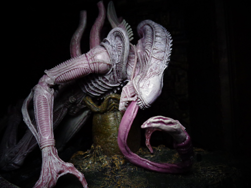 Mua bán NECA XENOMORPH ALBIND DRONE CHINA VER